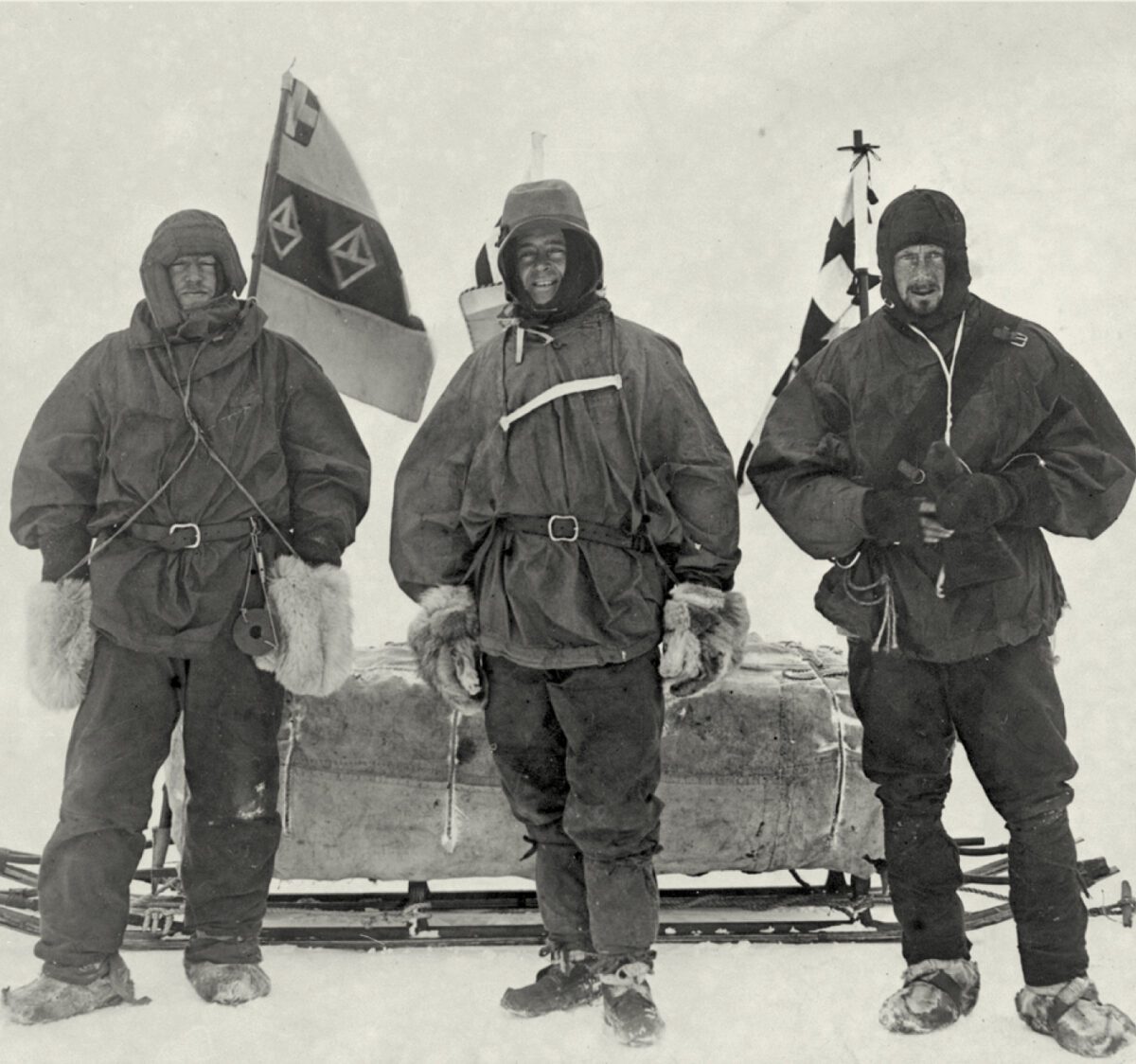 WILSON EXPLORER TALL2